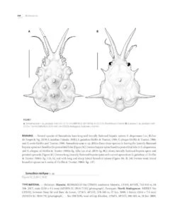 Tropical Deep-Sea Benthos, Volume 33 26 Tropical Deep-Sea Benthos, Volume 33 -Rode Sales Store 260267 11