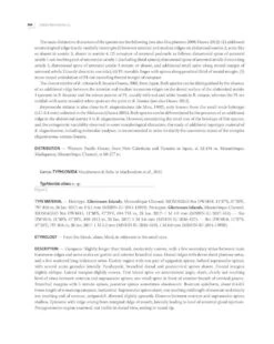 Tropical Deep-Sea Benthos, Volume 33 28 Tropical Deep-Sea Benthos, Volume 33 -Rode Sales Store 260267 13