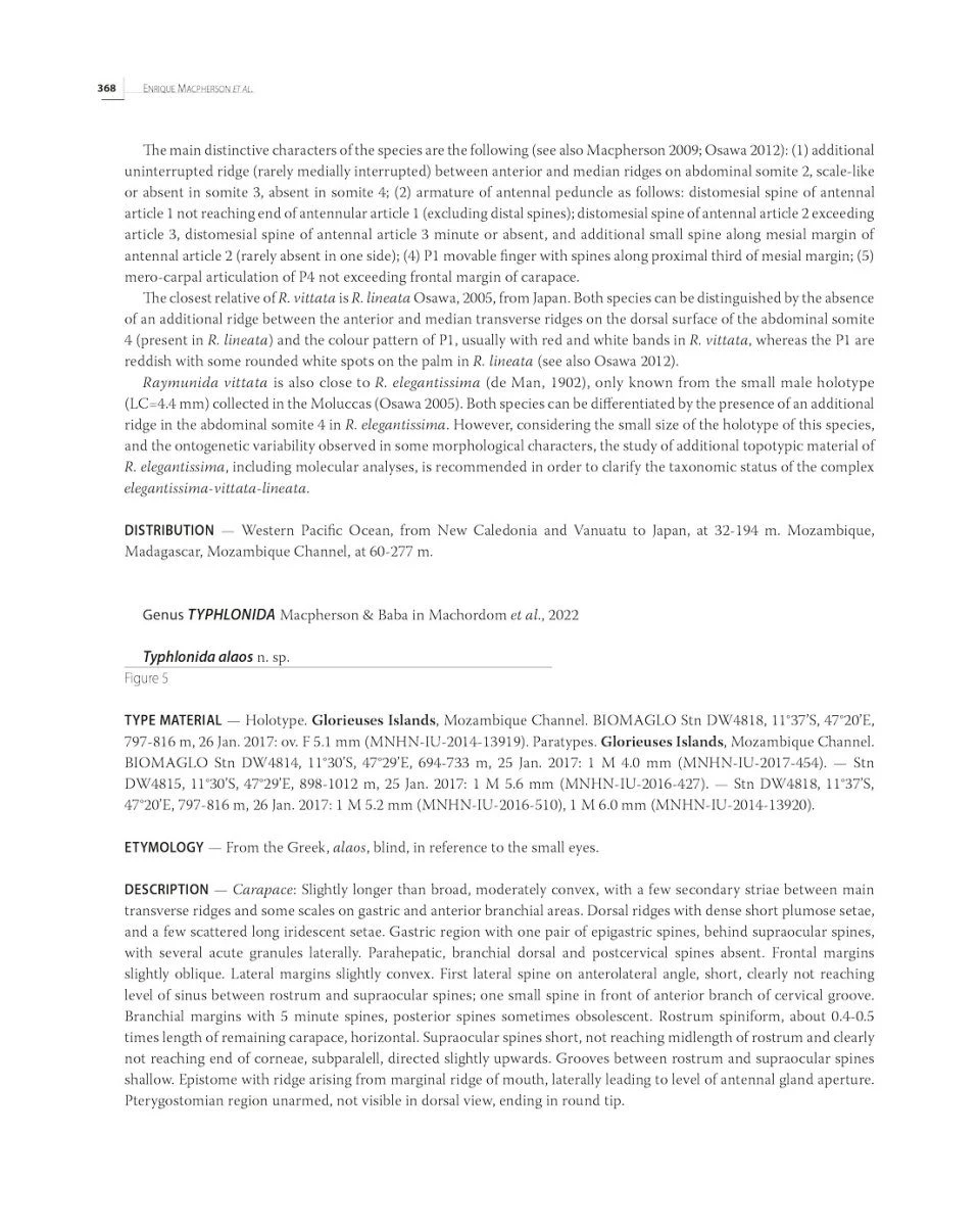 Tropical Deep-Sea Benthos, Volume 33 14 Tropical Deep-Sea Benthos, Volume 33 - Image 14