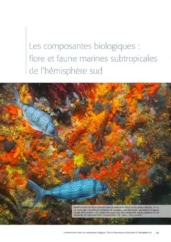 Les îles Saint-Paul Et Amsterdam (Océan Indien Sud): Environnement Marin Et Pêcheries [Saint-Paul And Amsterdam Islands (South Indian Ocean): Marine Environment And Fisheries] -Rode Sales Store 260268 10