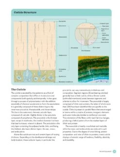The Complete Insect 13 The Complete Insect -Rode Sales Store 260476 5