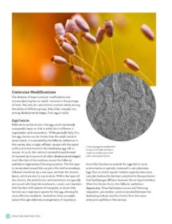 The Complete Insect 14 The Complete Insect -Rode Sales Store 260476 6