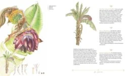 Plants Of The Qur'ān -Rode Sales Store 260909 3