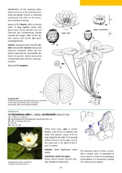 Aquatic Plants Of Northern And Central Europe Including Britain And Ireland -Rode Sales Store 261155 08