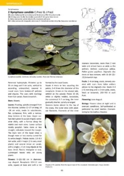 Aquatic Plants Of Northern And Central Europe Including Britain And Ireland -Rode Sales Store 261155 09