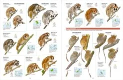 All The Mammals Of The World 7 All The Mammals Of The World -Rode Sales Store 261235 1