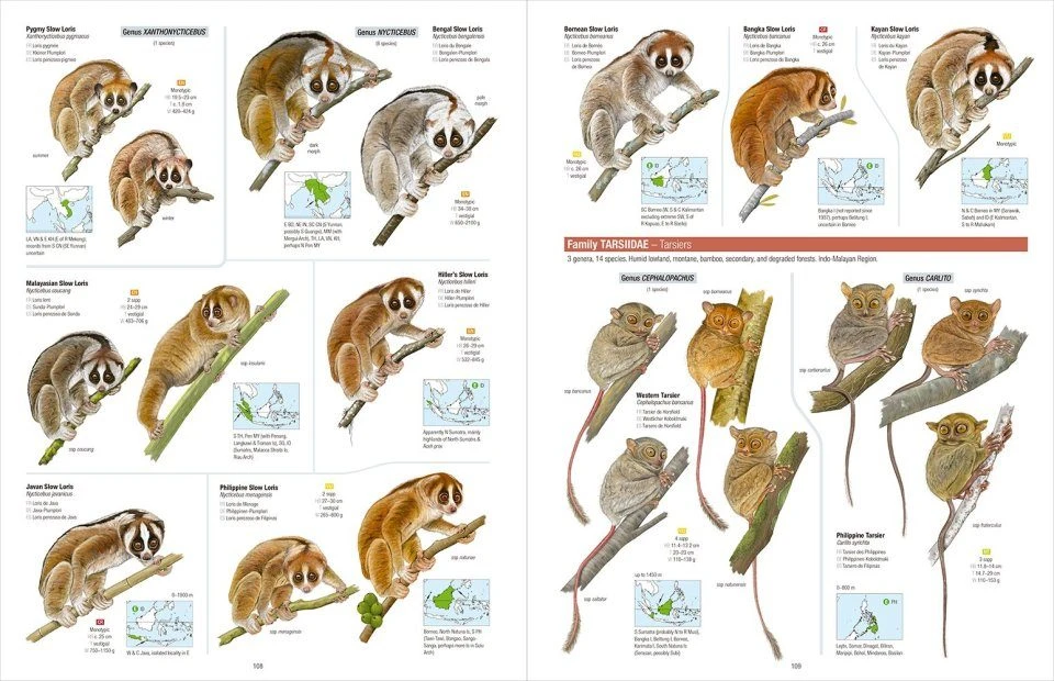 All The Mammals Of The World 2 All The Mammals Of The World - Image 2