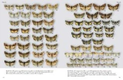 Noctuidae Europaeae Essential -Rode Sales Store 261255 4