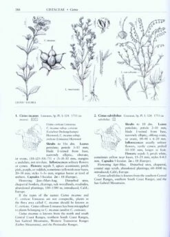Flora Of North America North Of Mexico, Volume 6: Magnoliophyta: Cucurbitaceae To Droserceae -Rode Sales Store 32823 4