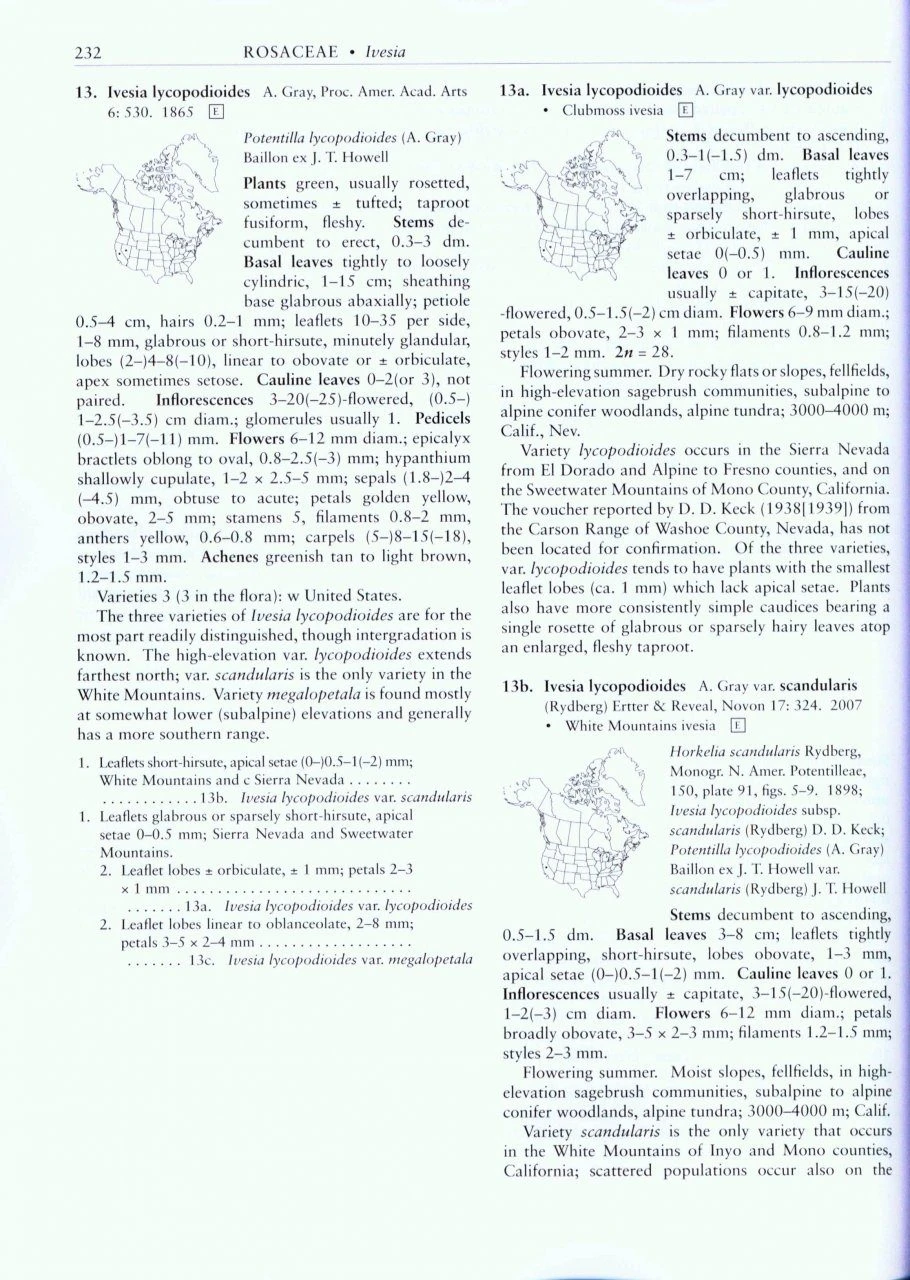Flora Of North America North Of Mexico, Volume 9: Magnoliophyta: Picramniaceae To Rosaceae 3 Flora Of North America North Of Mexico, Volume 9: Magnoliophyta: Picramniaceae To Rosaceae - Image 3