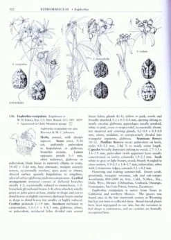 Flora Of North America North Of Mexico, Volume 12: Magnoliophyta: Vitaceae To Garryaceae -Rode Sales Store 32830 3