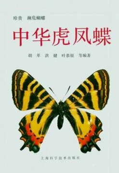 Luehdorfia Chinensis Leech, A Precious And Threatened Butterfly [Chinese]