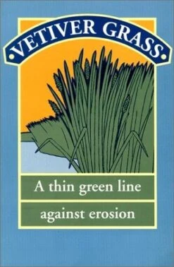 Vetiver Grass: A Thin Green Line Against Erosion
