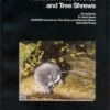 Eurasian Insectivores And Tree Shrews