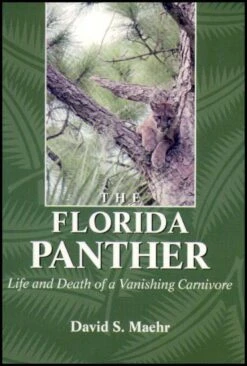 The Florida Panther