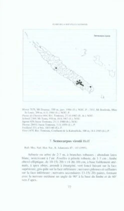 Flore De La Nouvelle-Calédonie Et Dépendances, Volume 21: Sphenostemonaceae, Anacardiaceae, Cruciferae -Rode Sales Store 68500 3