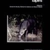 Tapirs