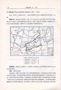 Fauna Sinica: Aves, Volume 13: Passeriformes: Paridae - Zosteropidae [Chinese] -Rode Sales Store 81739 2