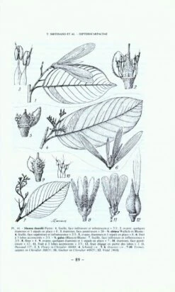 Flore Du Cambodge, Du Laos Et Du Viêtnam, Volume 24 -Rode Sales Store 8247 3