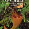 Nepenthes Of Sumatra And Peninsular Malaysia